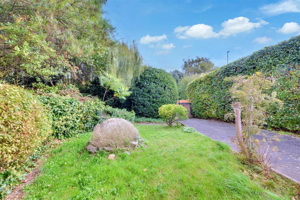 Garden 2.jpeg