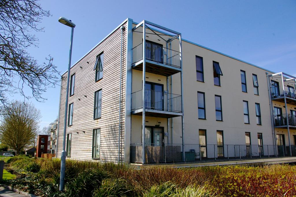 Main Development