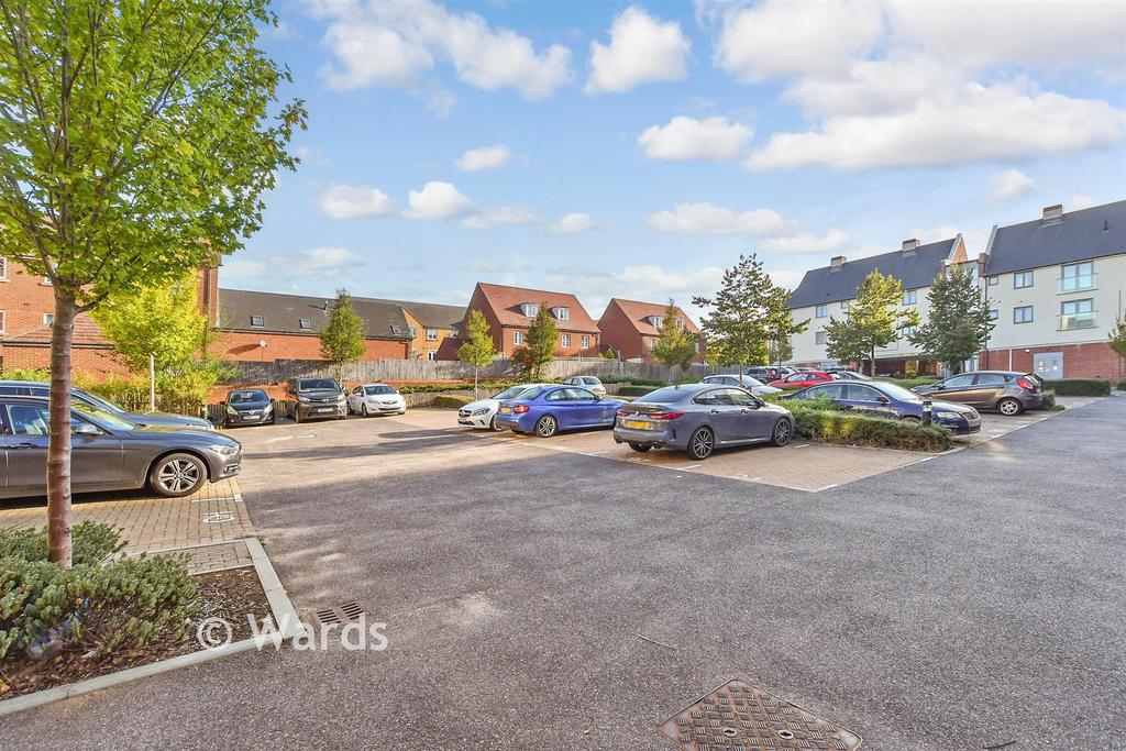 Driveway/Parking