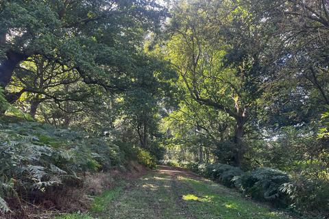 undefined, Land at Wangford, nr Southwold, Suffolk