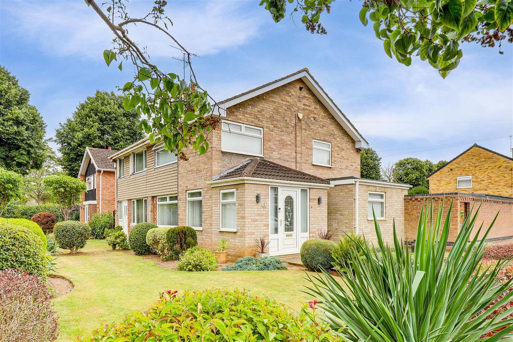 IMG 6443-IMG 6447.jpg