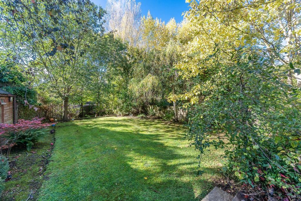 Garden view, garden