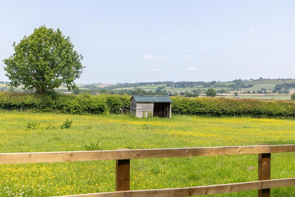 Front Paddock