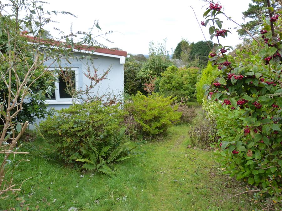 Side Garden