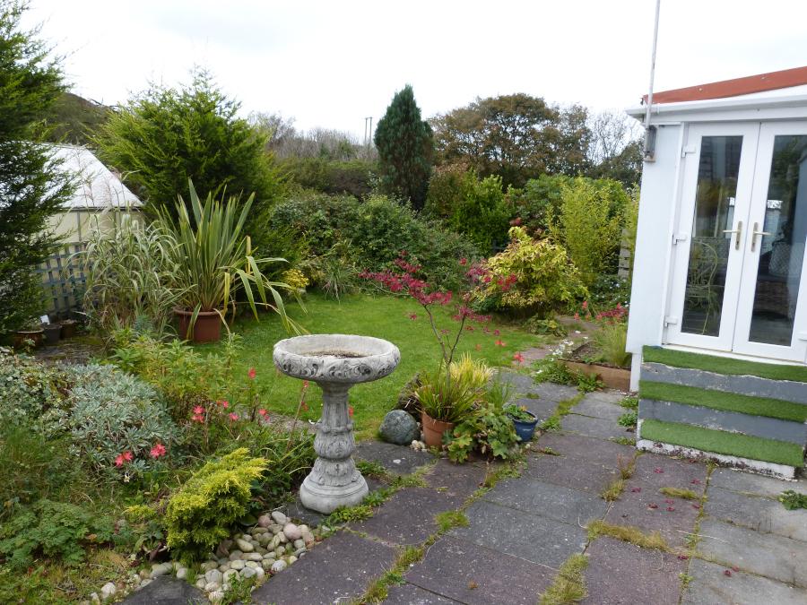 Back Garden