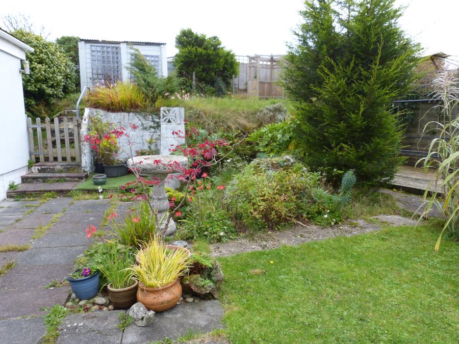 Back Garden