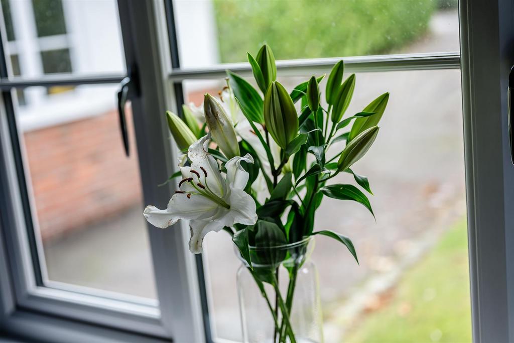 DSC 2304.jpg