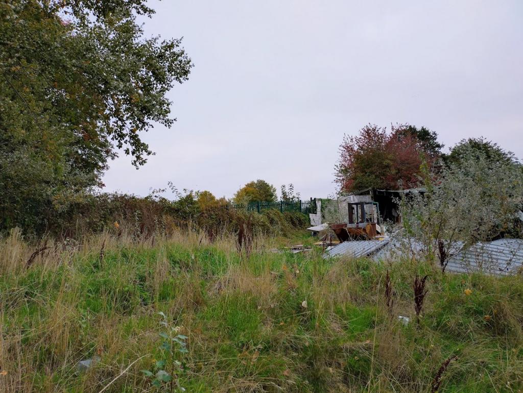 The Site from Access Road