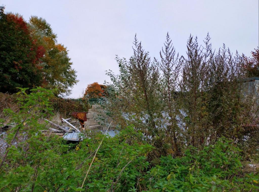 The Site From Access Road