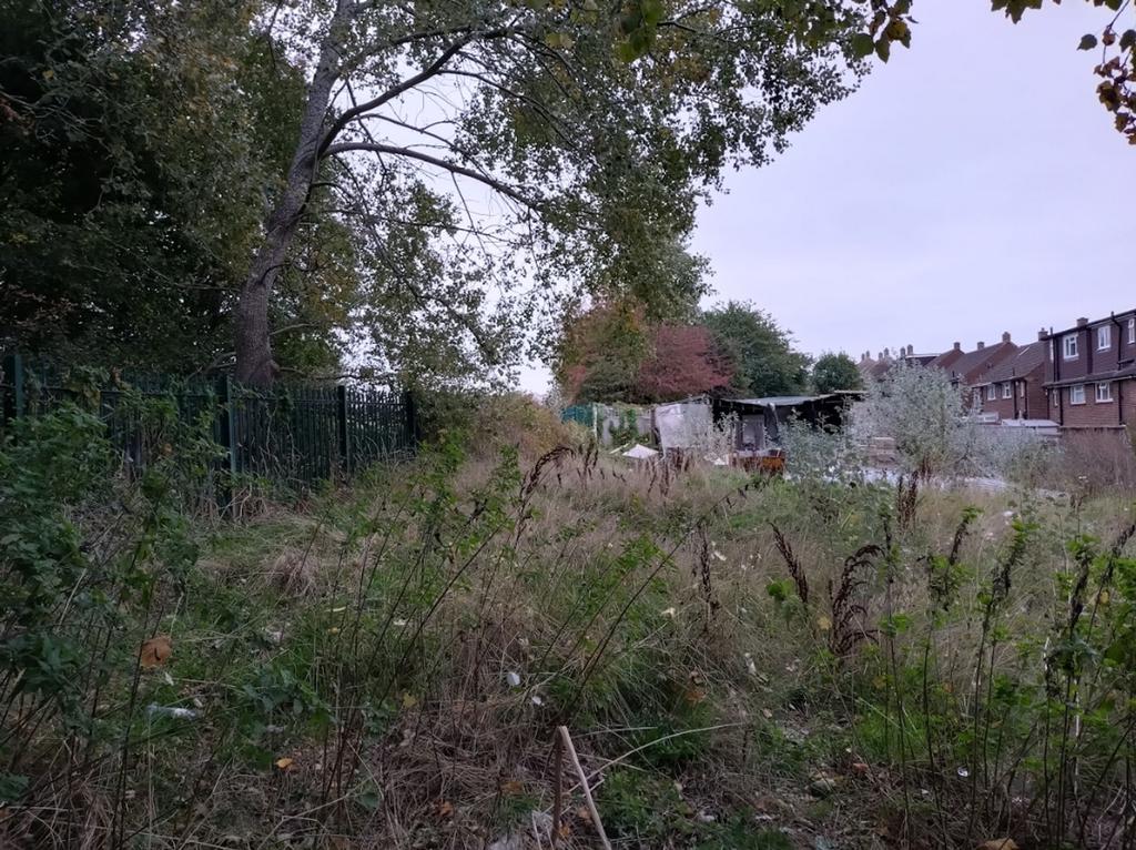 The Site from Access Road
