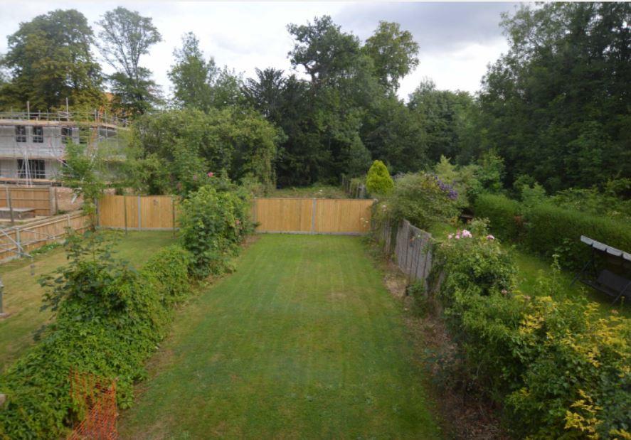 Garden.JPG