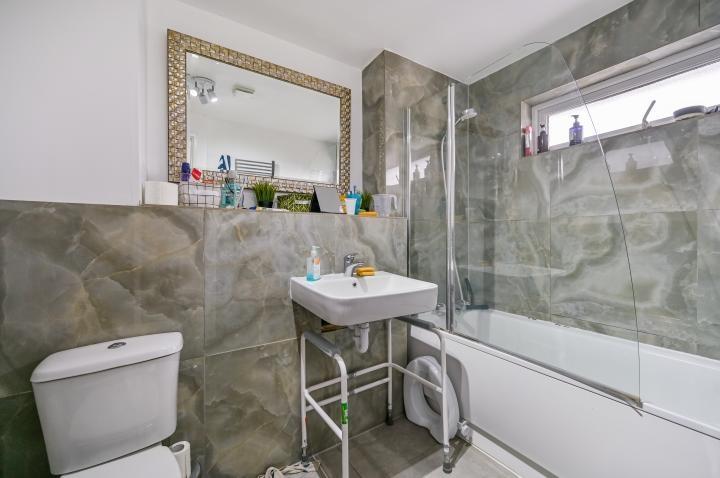 Chpk2459848 large-19-17 jpg