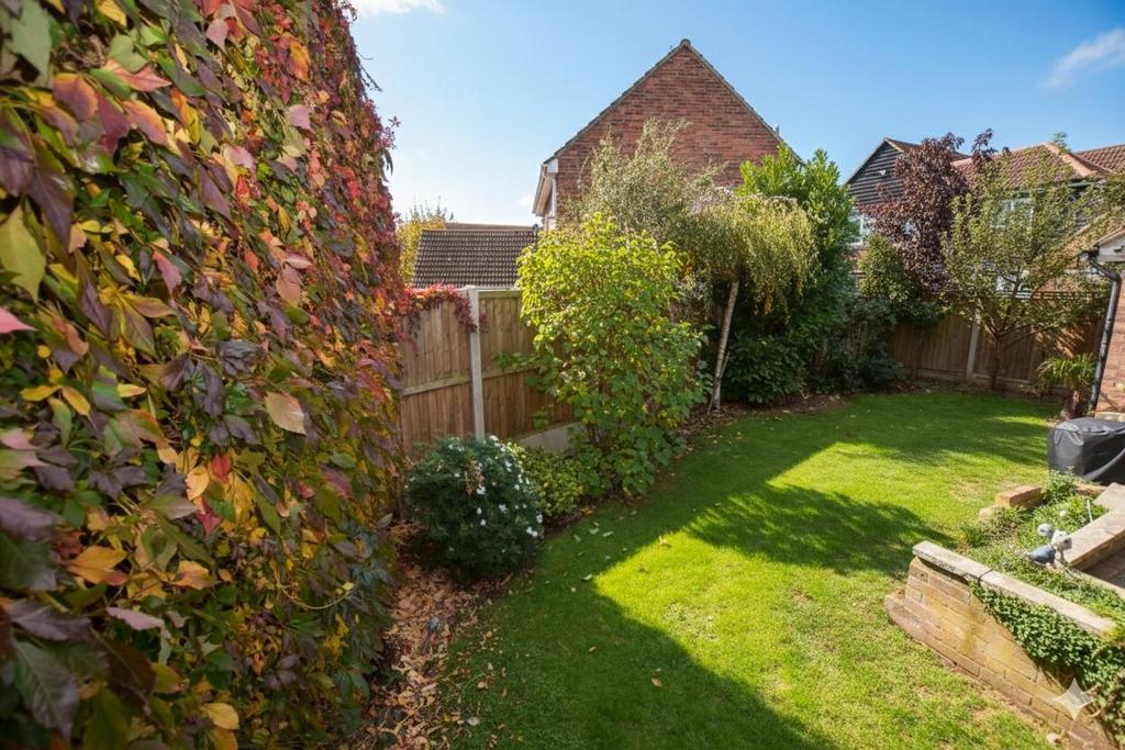 Garden A2.jpg