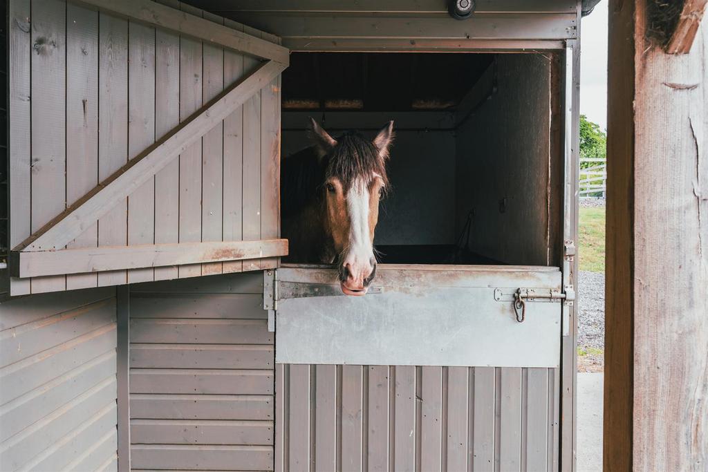 Stable Block