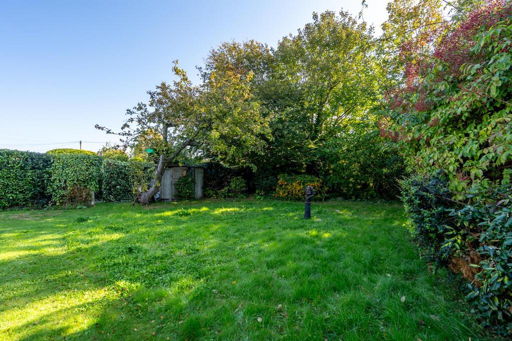 Garden.jpg