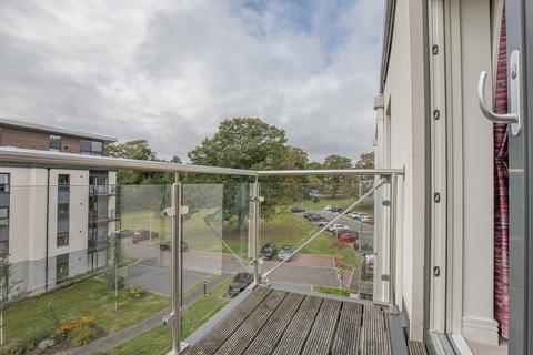 undefined, May Baird Gardens, Aberdeen