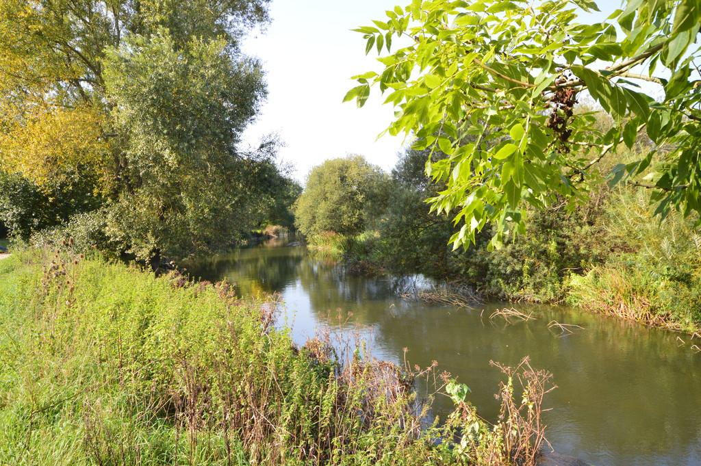 River1