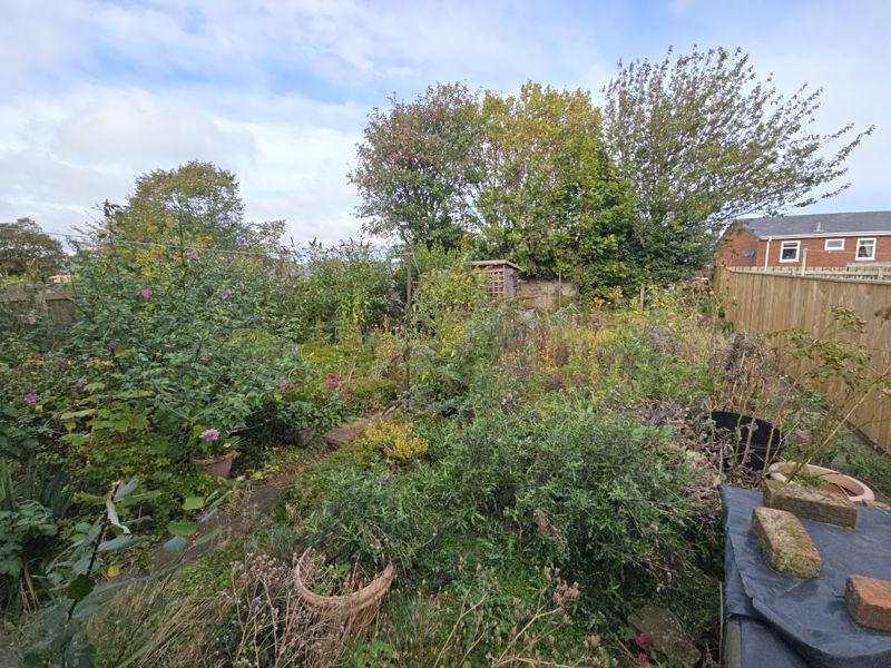 Photo 27