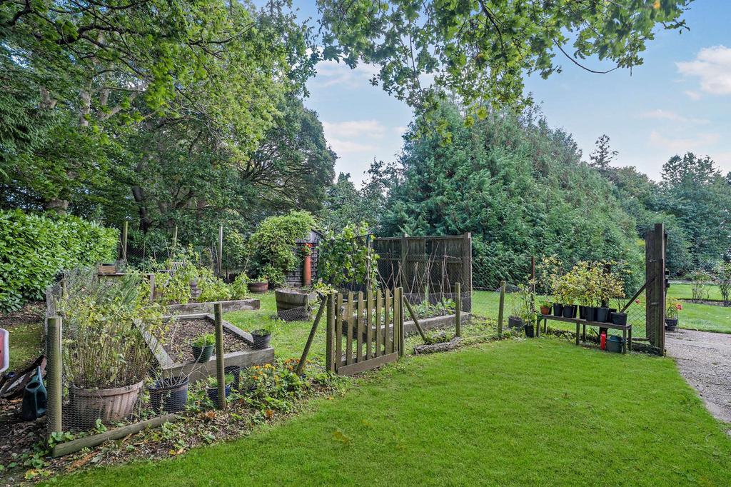Vegetable Garden