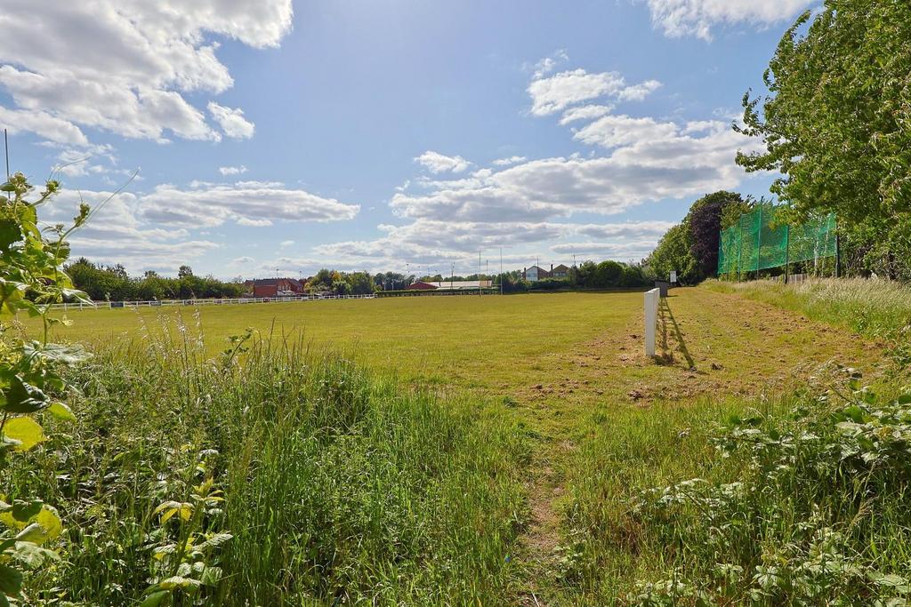 Field View