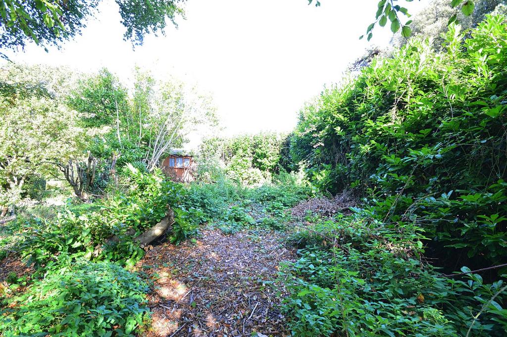 Resized Garden3.jpg