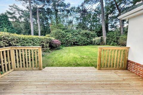 undefined, Talbot Woods