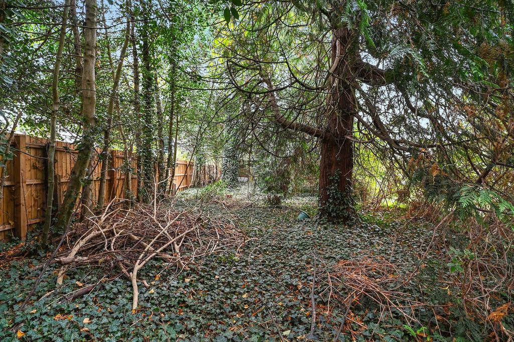 PT-DB(NM)-1 Wyndham Way-24
