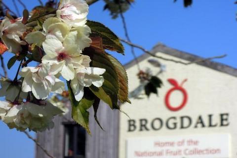 Office for sale, Brogdale Rd Faversham ME13 8XZ
