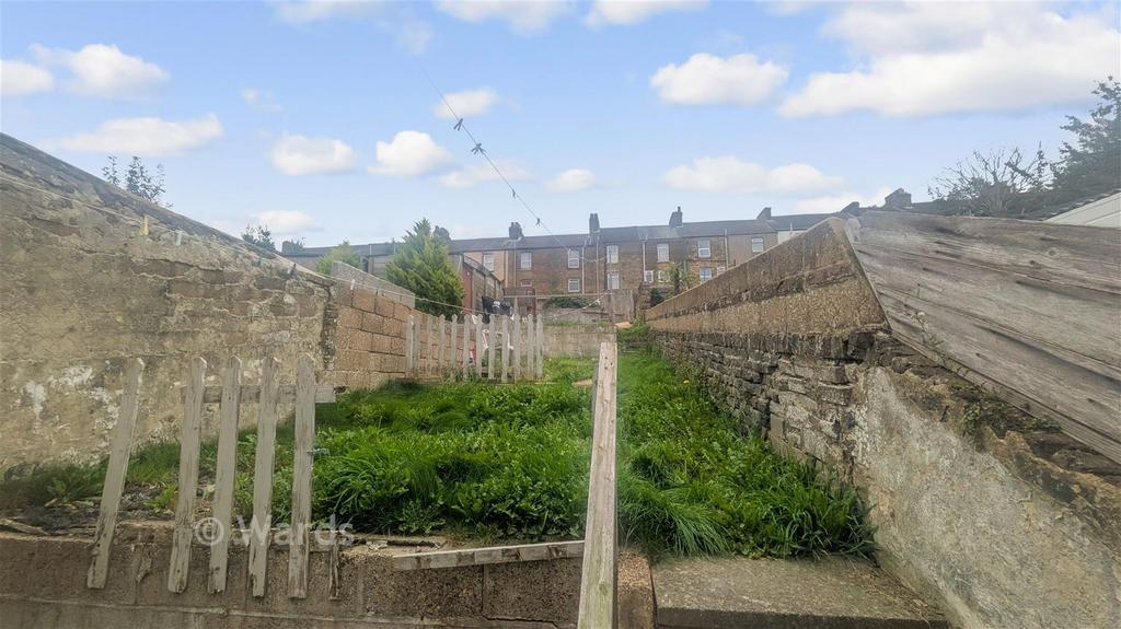 Back Garden