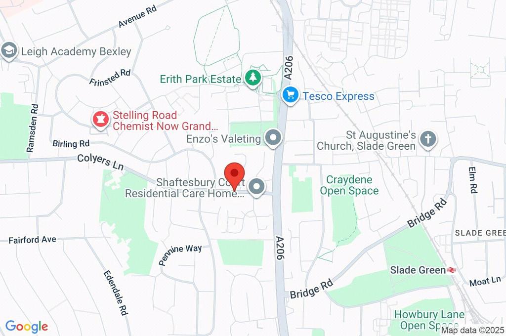 Google Maps Image