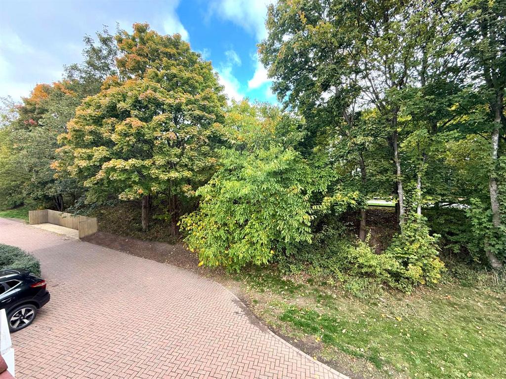 IMG-20251010-WA0038 copya.jpg