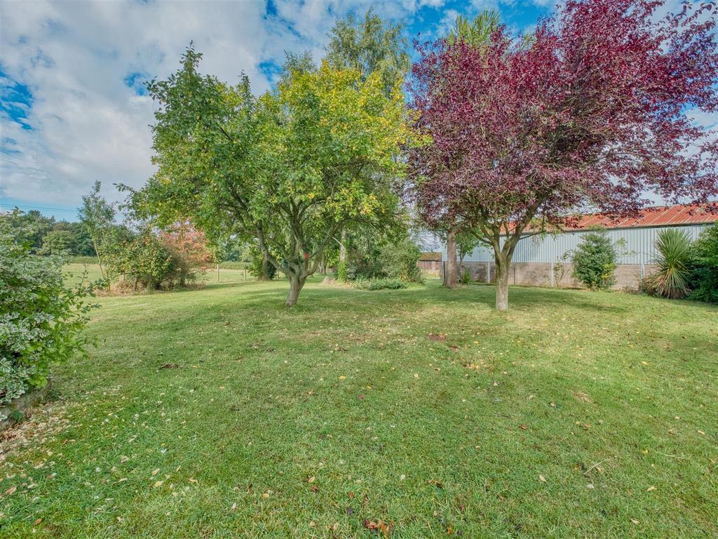 P1167656 hdr.jpg