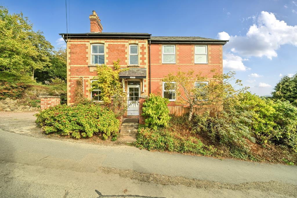 Photos