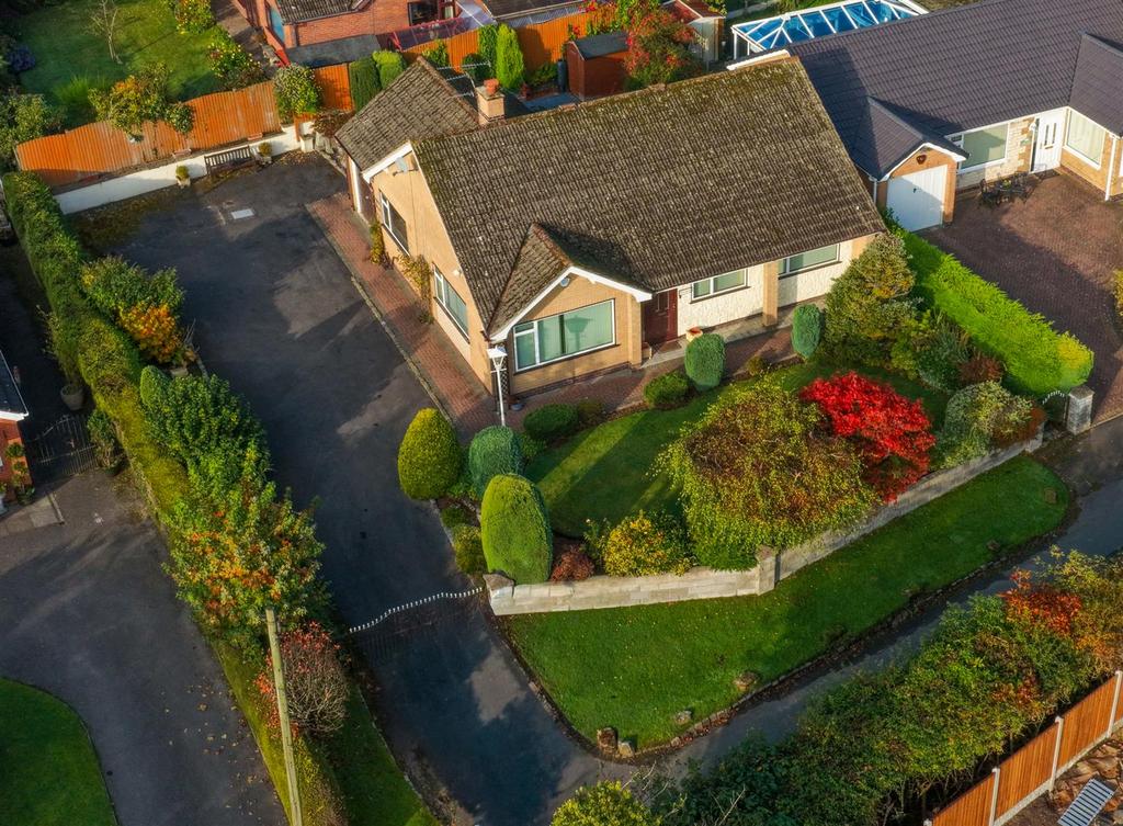 Dji fly 20251012 093756 0003 1760261934814 photo.j