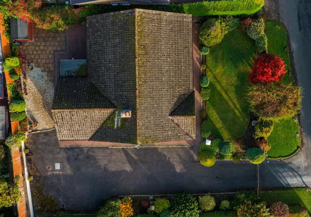 Dji fly 20251012 093838 0004 1760261932658 photo.j