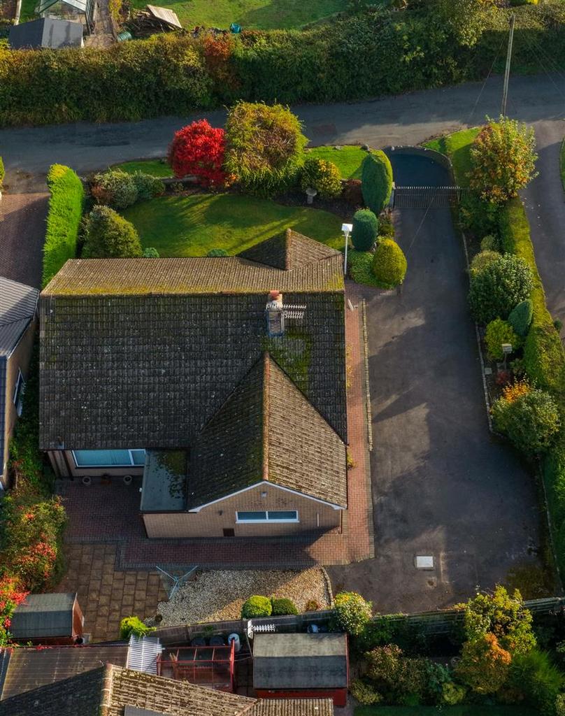 Dji fly 20251012 093910 0005 1760261929596 photo.j