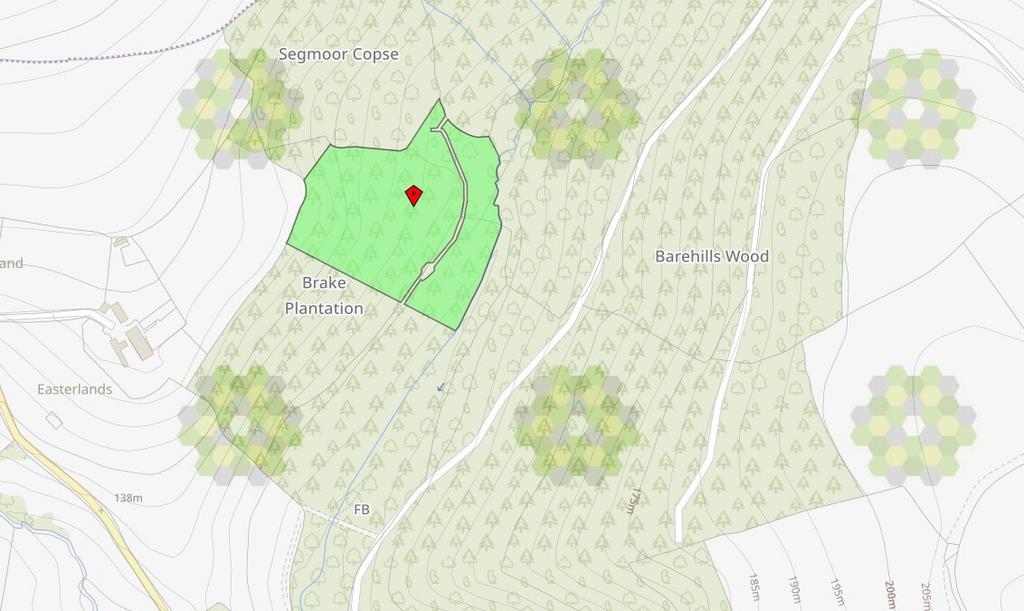 Heathcote Wood