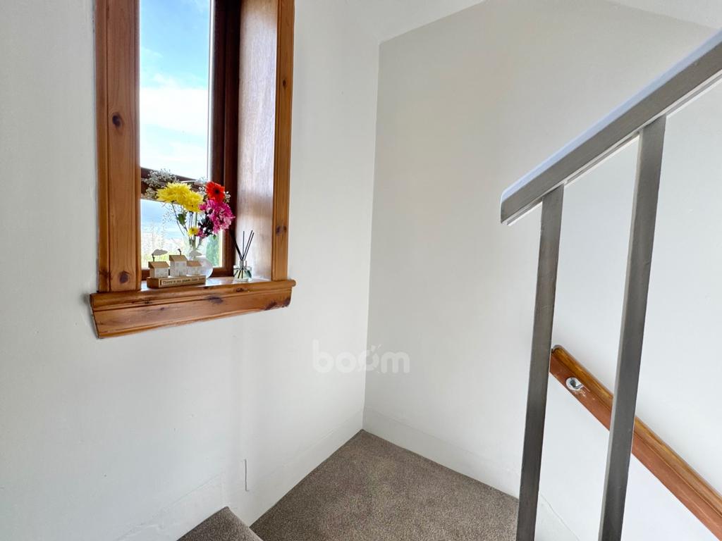Img 0886