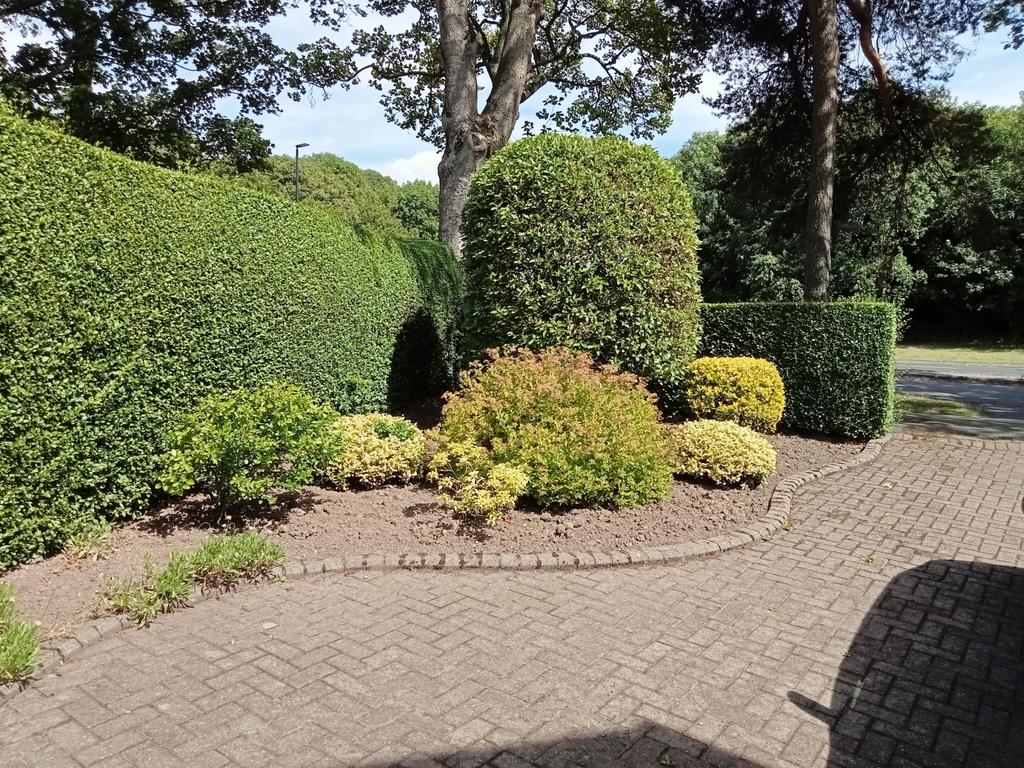 Front driveway and garden