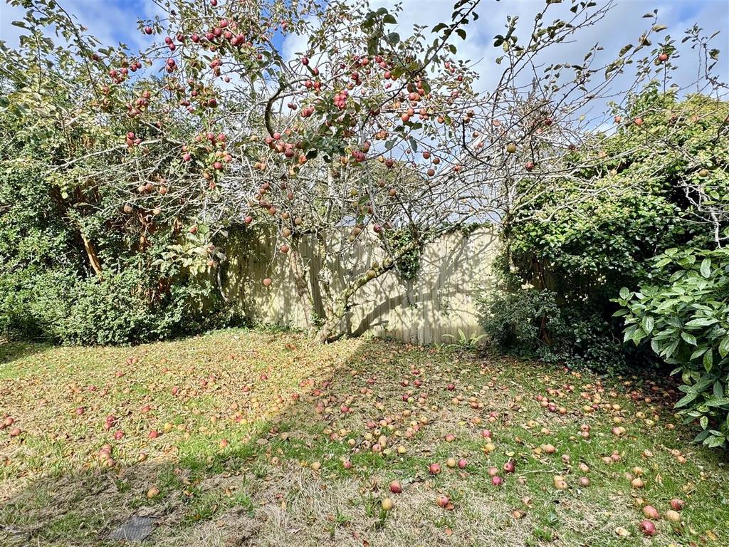 Left Side Orchard