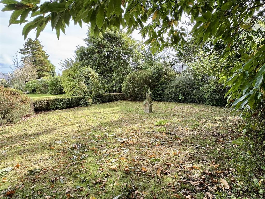 Right Side Grass