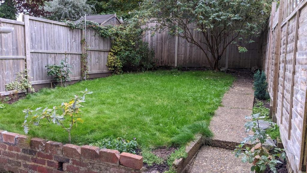 Garden 2.jpg