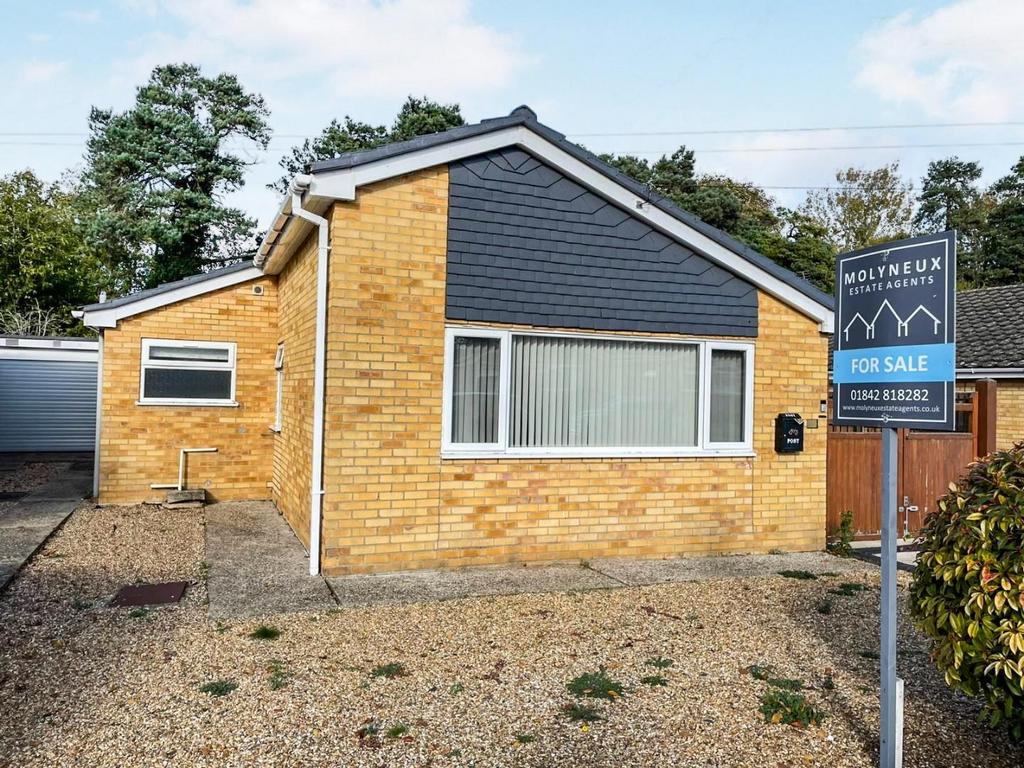 Tlc 67e64d09-4148-46b7-a1da-a486965b37b9 8c04695.j