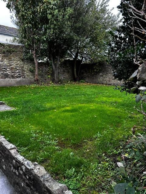 Garden B.jpg