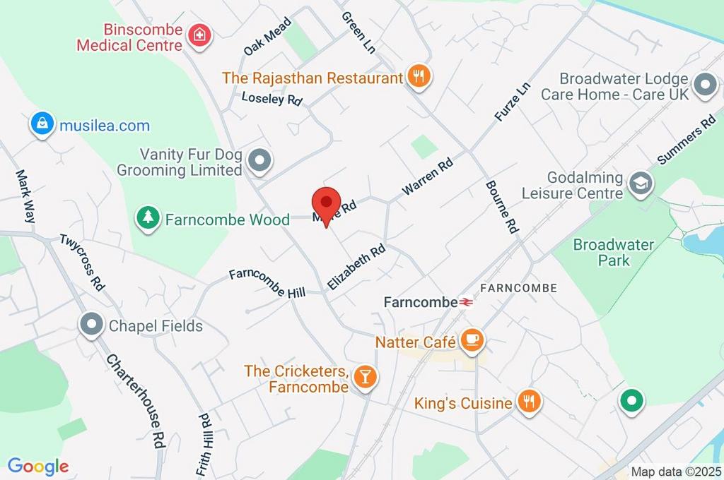 Google Maps Image
