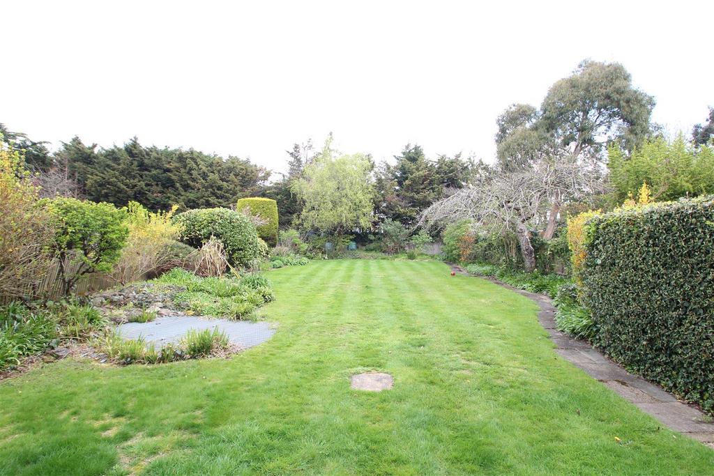 Garden.JPG