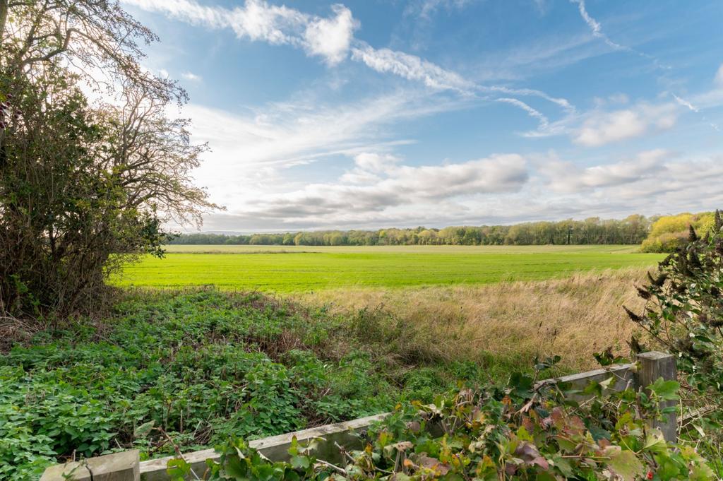 Picture No. 46