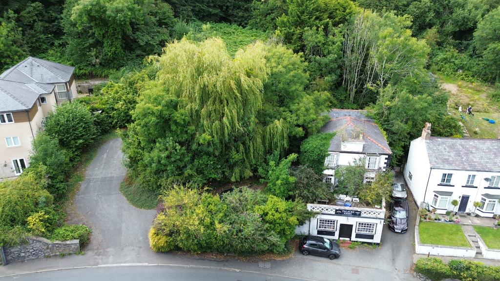 DJI 0783 T202509020913.jpg