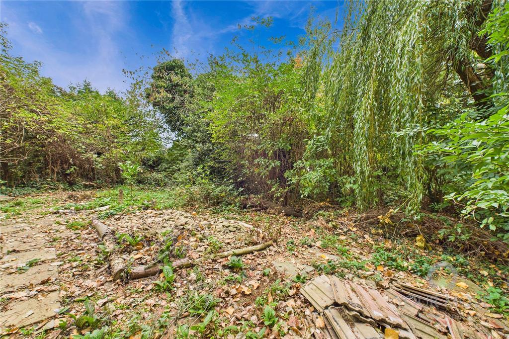 Woodland Garden