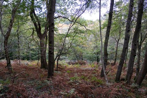 undefined, Forest Lane, Heathfield TN21